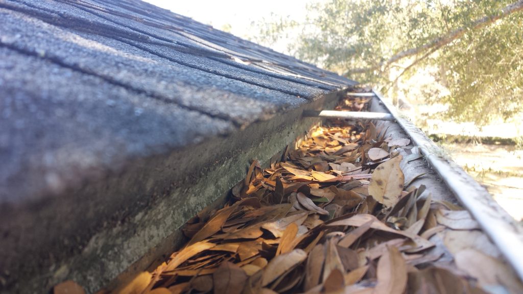 Professional Gutter Cleaning in Tallahassee Florida